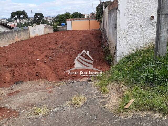 Área para Venda em Colombo - 4