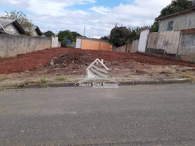 Área para Venda em Colombo - 5