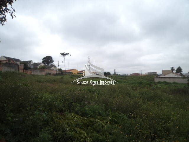 Venda em Campo Pequeno - Colombo
