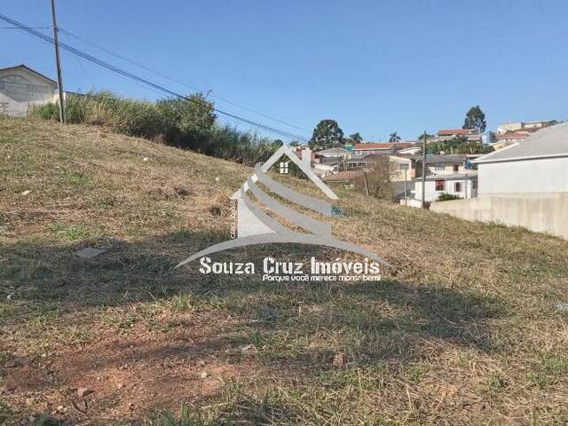 Área para Venda em Colombo - 5
