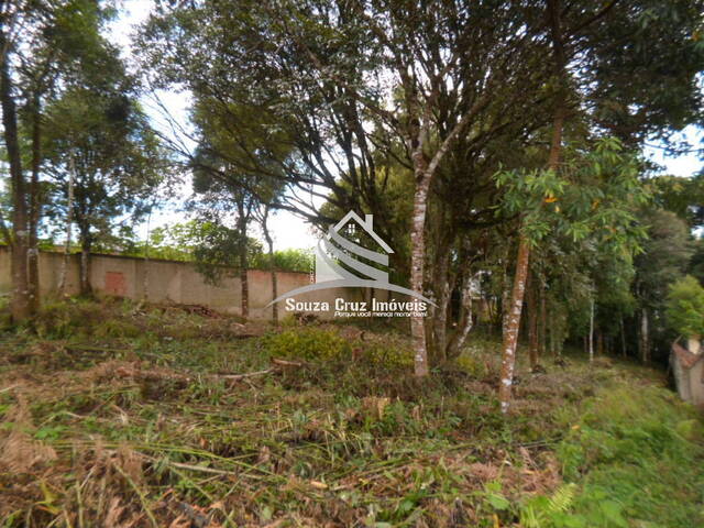 Área para Venda em Colombo - 5