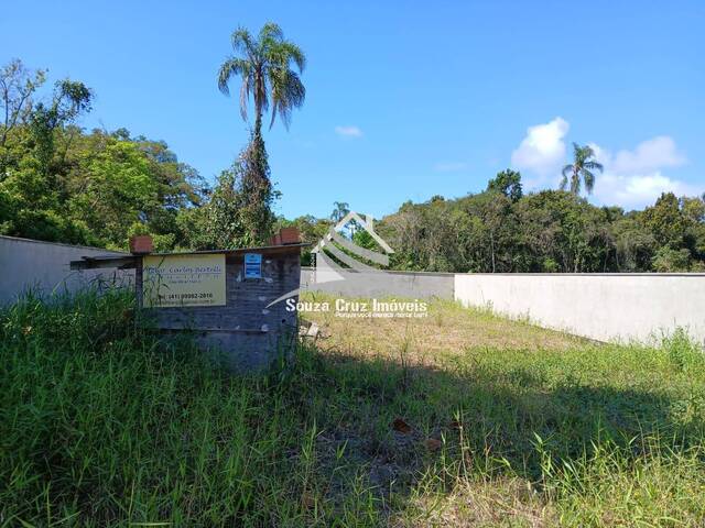 #55593 - Área para Venda em Balneário Barra do Sul - SC - 1