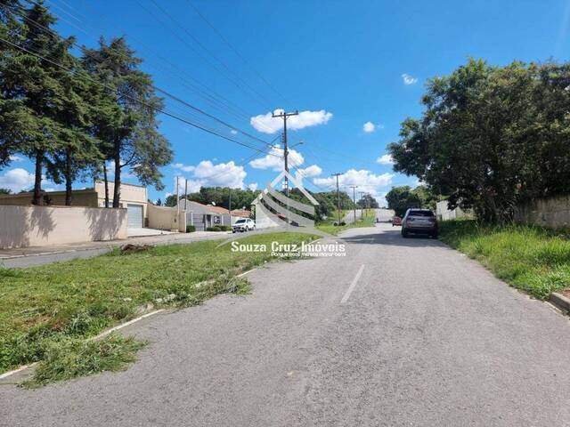 Terreno para Venda em São José dos Pinhais - 5