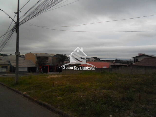 Área para Venda em Curitiba - 5