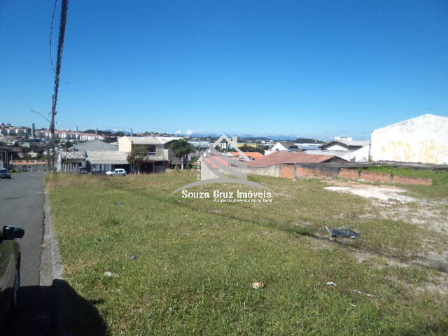 #55736 - Terreno para Venda em Curitiba - PR - 3