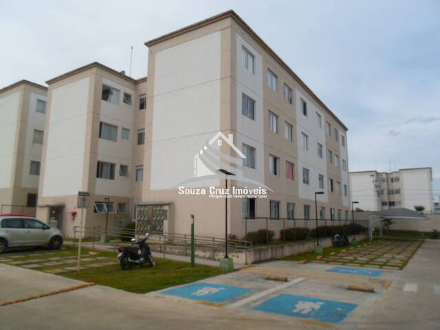 #55762 - Apartamento para Venda em São José dos Pinhais - PR - 1