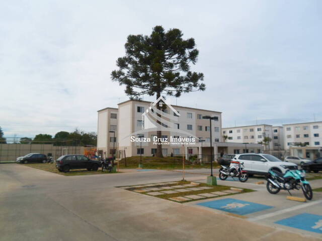 #55762 - Apartamento para Venda em São José dos Pinhais - PR - 2
