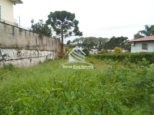 Terreno para Venda em Curitiba - 3