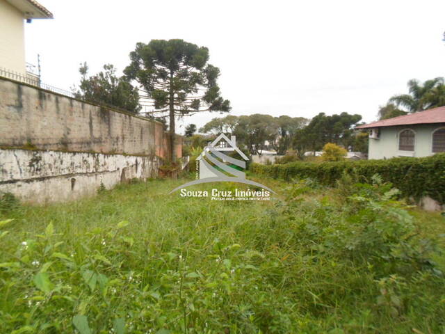 Terreno para Venda em Curitiba - 4