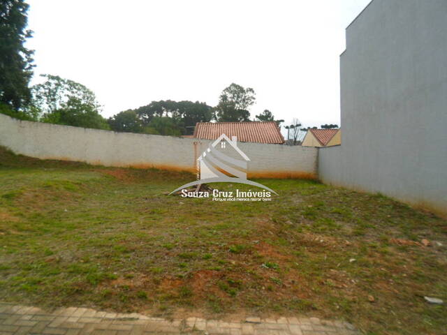 Área para Venda em Colombo - 4