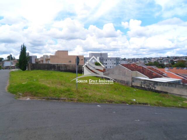 Área para Venda em Curitiba - 4