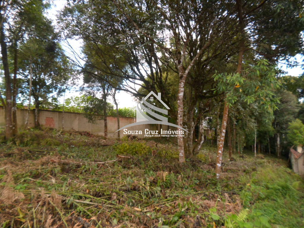 Terreno, 1000 m² - Foto 5