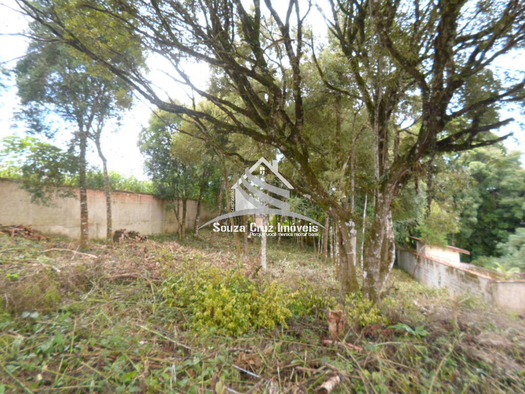 Terreno, 1000 m² - Foto 7