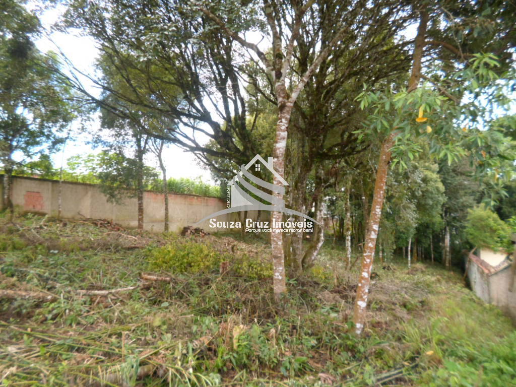 Terreno, 1000 m² - Foto 6