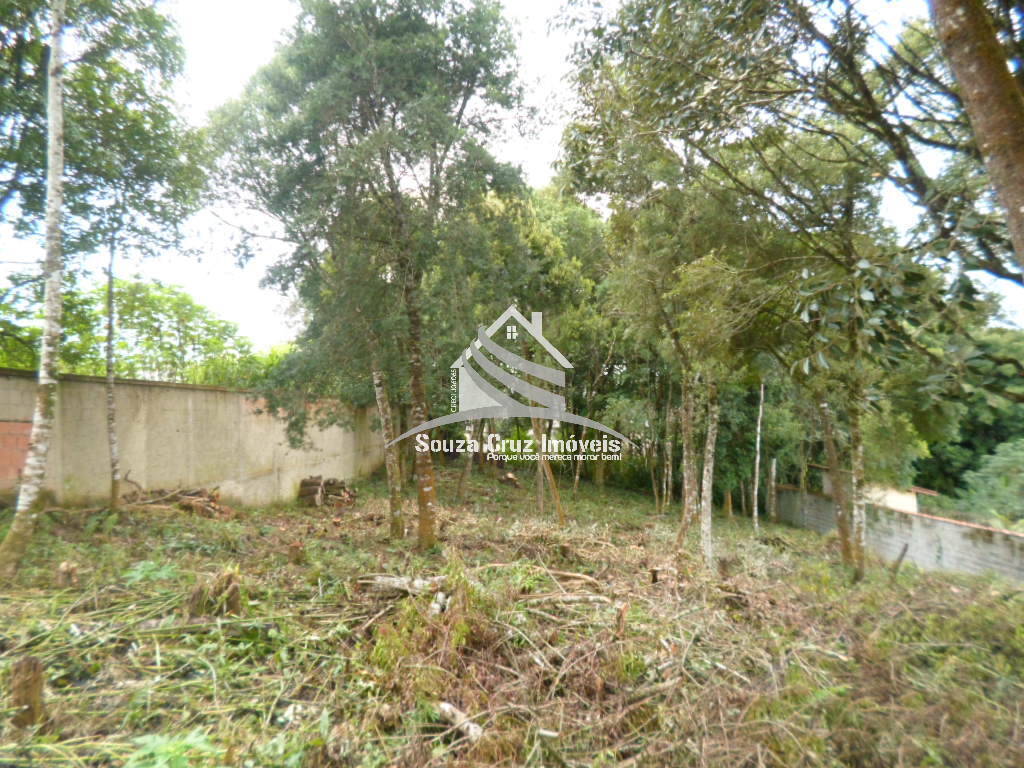 Terreno, 1000 m² - Foto 1