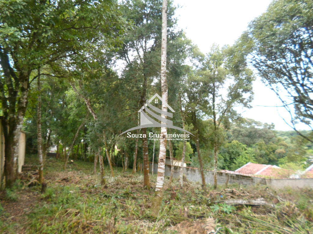 Terreno, 1000 m² - Foto 12