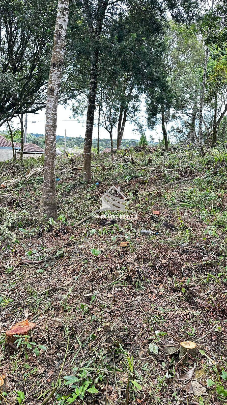 Terreno, 1000 m² - Foto 18