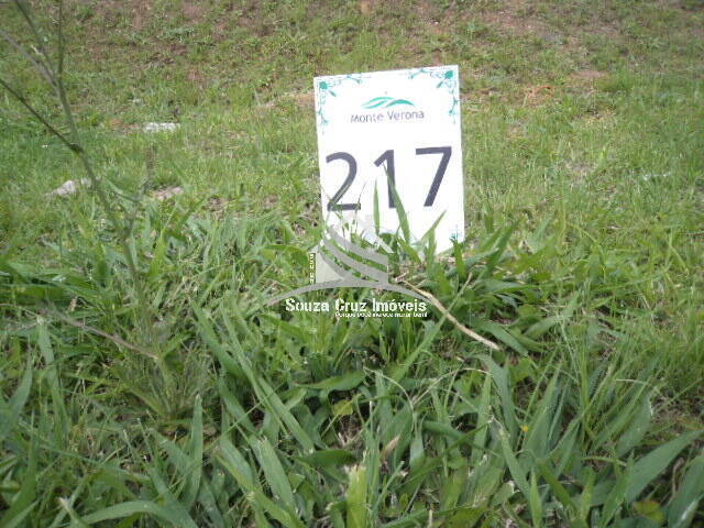 Terreno à venda, 288m² - Foto 11