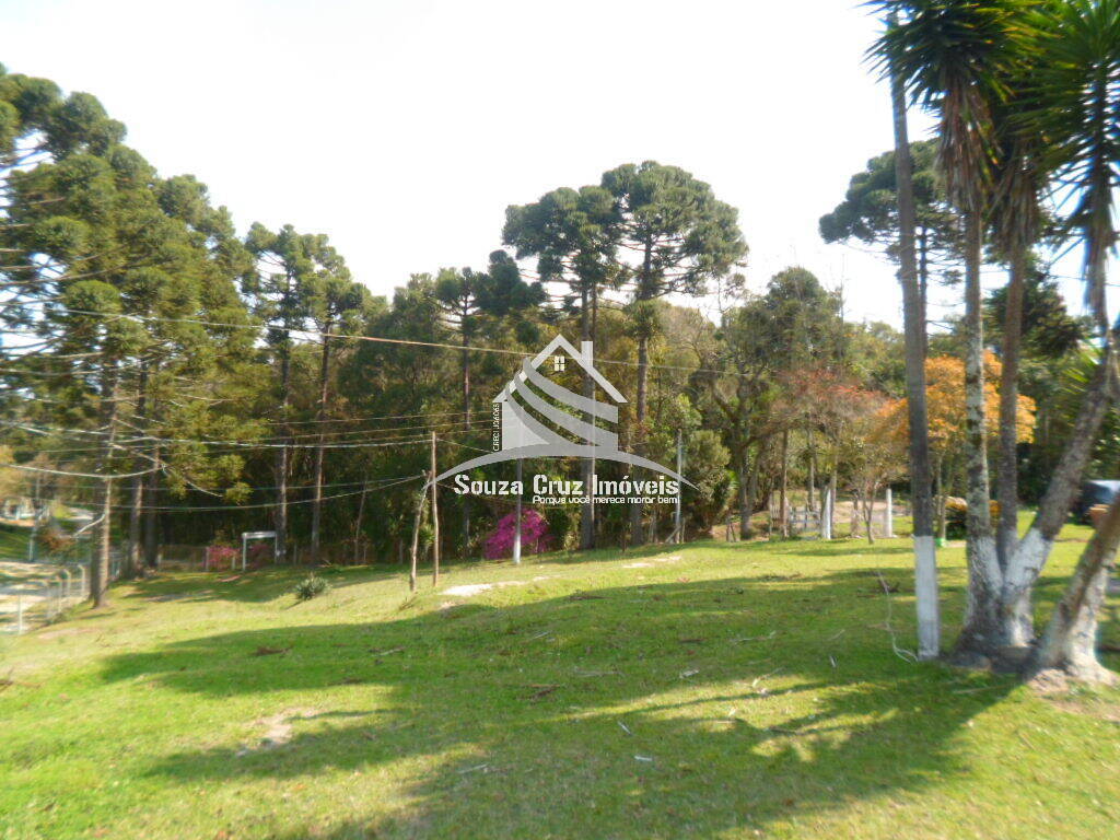 Terreno, 10 hectares - Foto 3