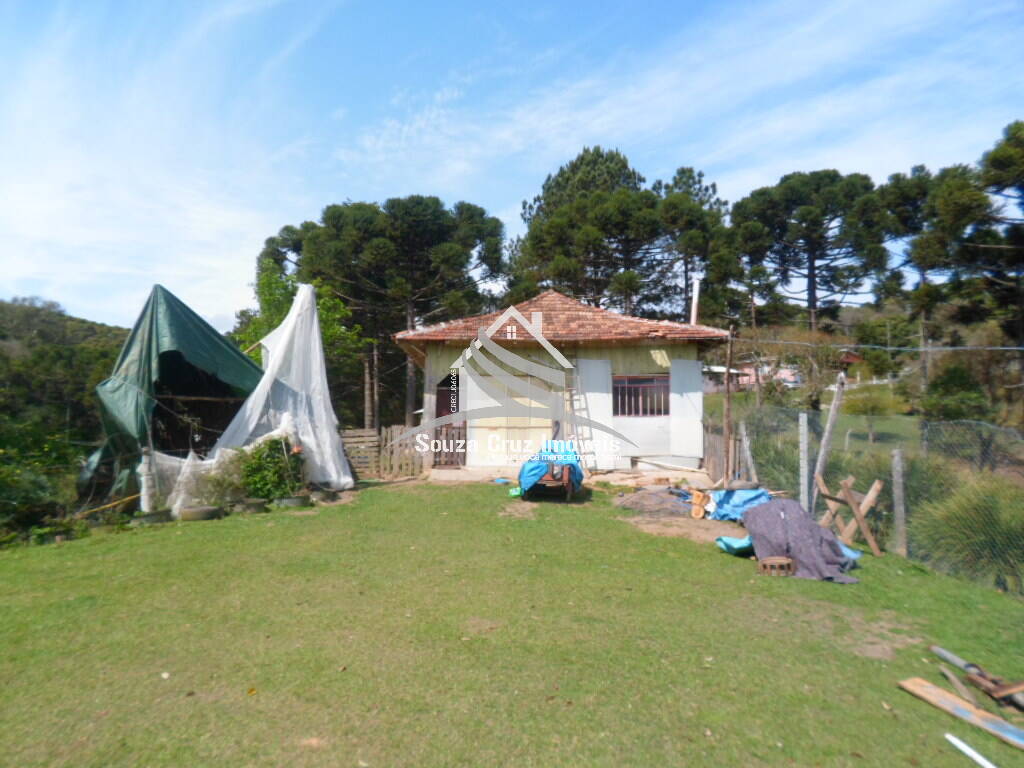 Terreno, 10 hectares - Foto 6