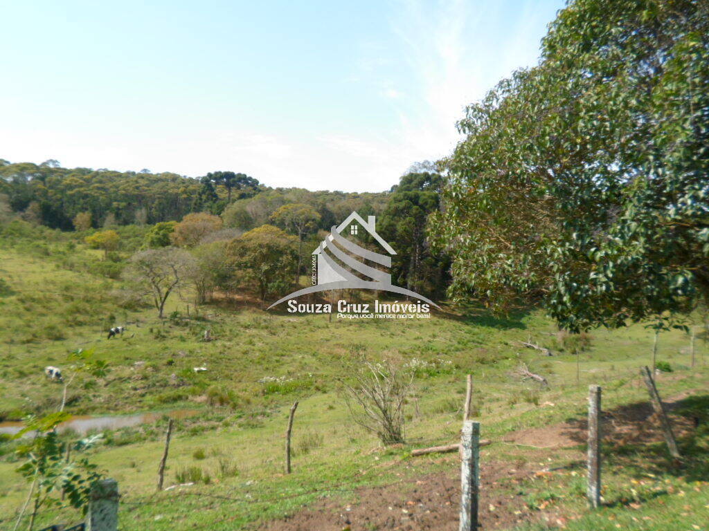 Terreno, 10 hectares - Foto 7