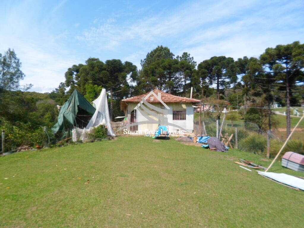 Terreno, 10 hectares - Foto 5