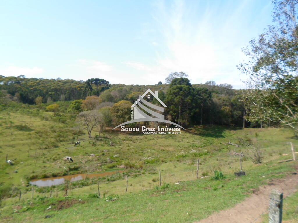 Terreno, 10 hectares - Foto 8