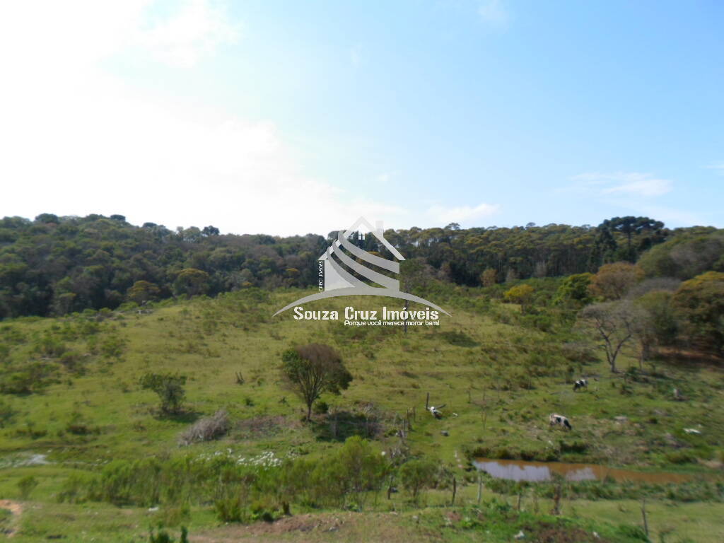 Terreno, 10 hectares - Foto 9