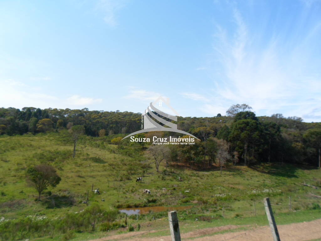 Terreno, 10 hectares - Foto 14