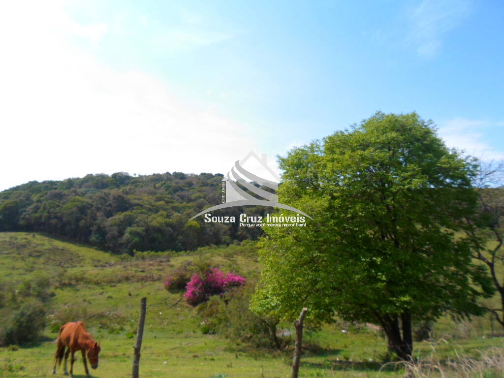 Terreno, 10 hectares - Foto 20