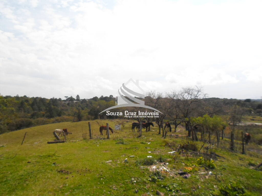 Terreno, 10 hectares - Foto 19