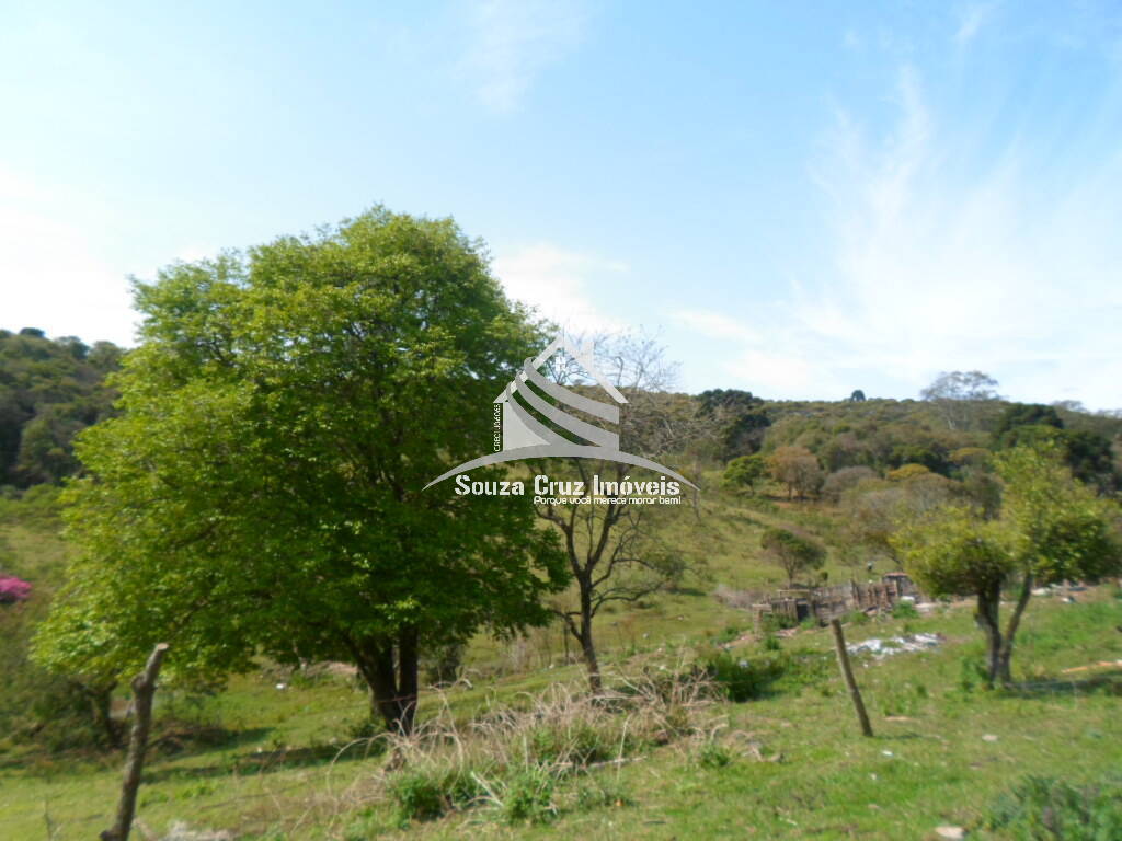 Terreno, 10 hectares - Foto 21